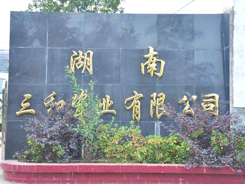 公司环境
